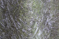 Blo Norton fibreglass roof work